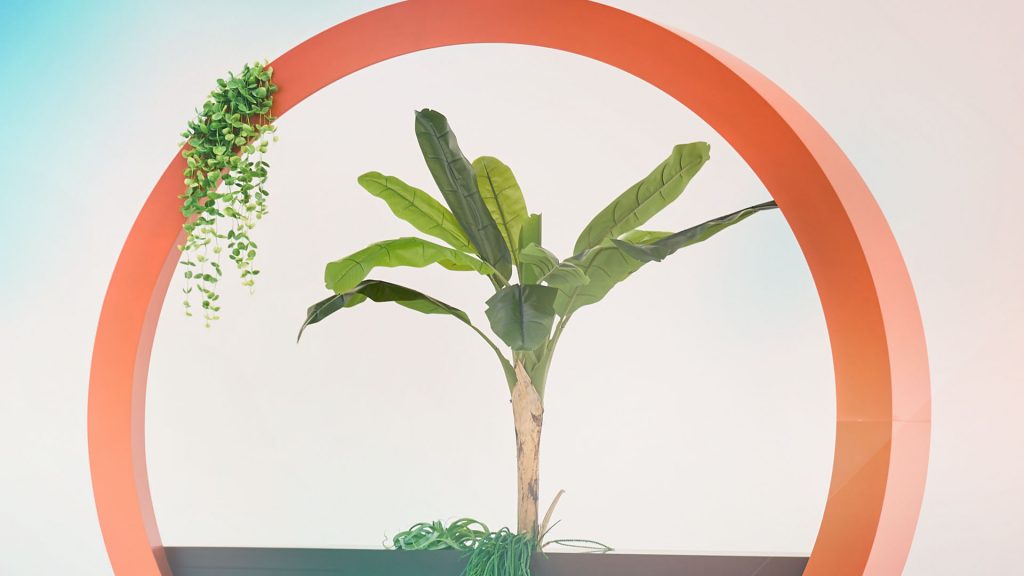 cechy_sustainabilty1